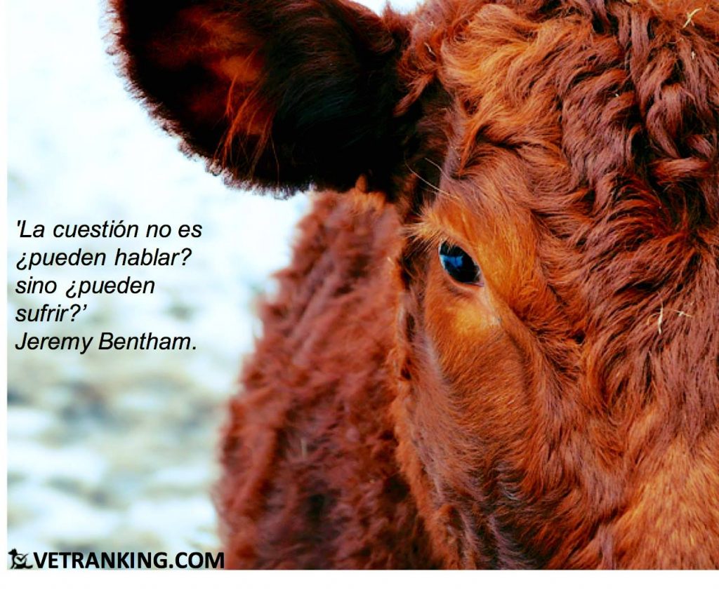 Citas de animales Jeremy Bentham